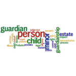 minor's guardian estate Illinois lawyer